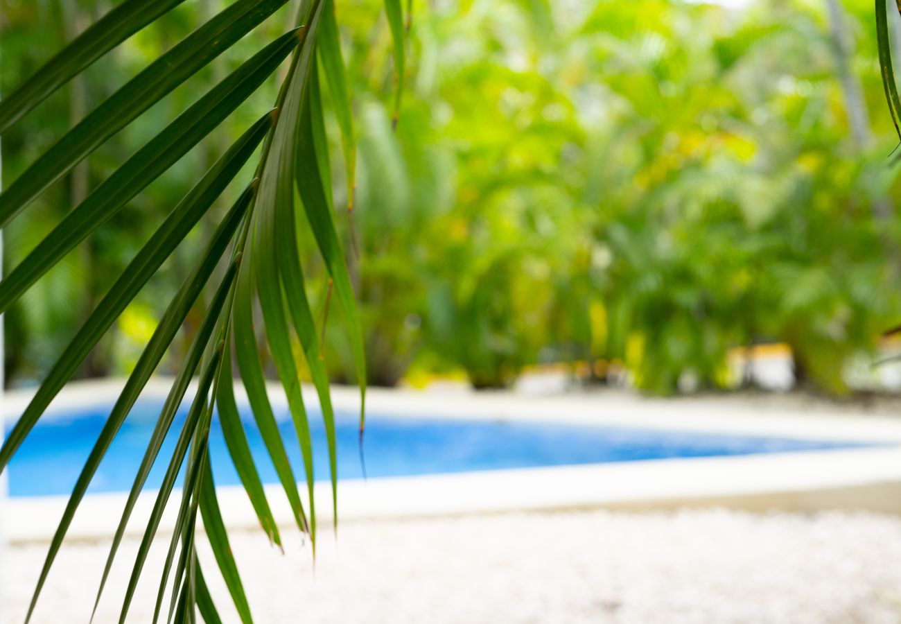 Villa in Playa Hermosa - Villas Sol 21 Serenity Place at Playa Hermosa